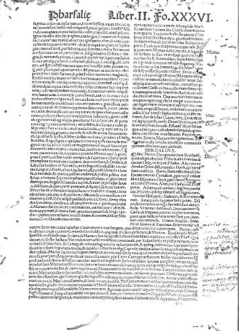 XXXVI