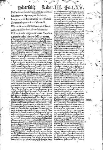 LXV