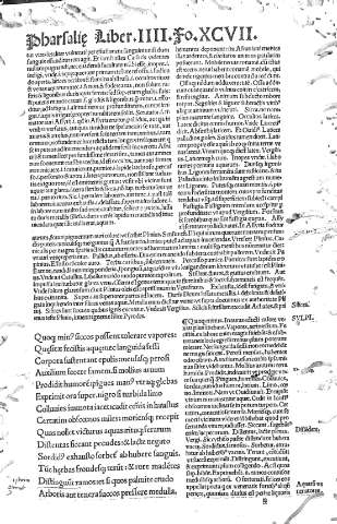 XCVII