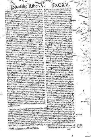 CXV