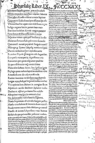 CCXXXI