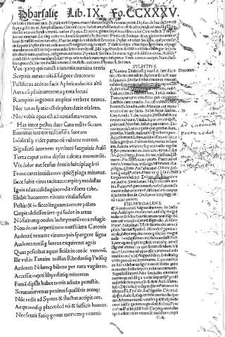 CCXXXV