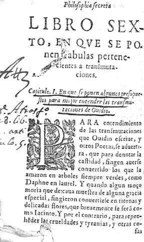 Libro Sexto