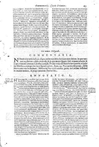 43
