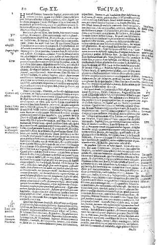 80