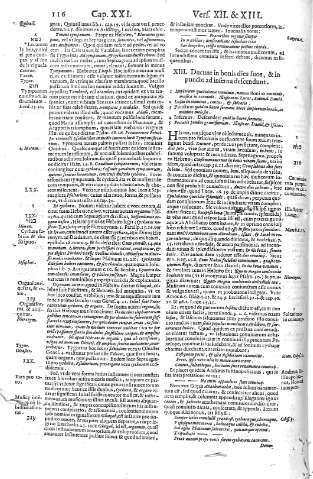116