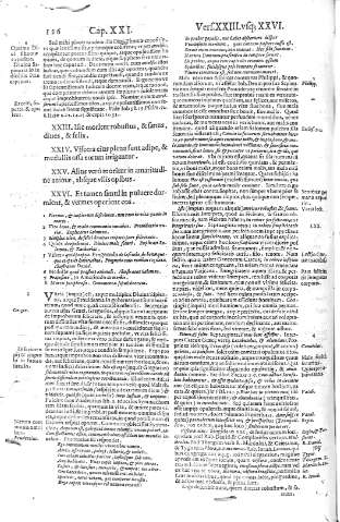126