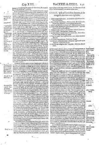 131