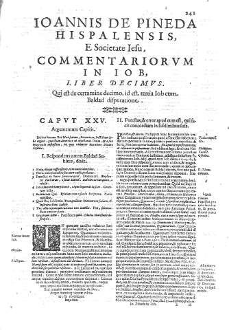 [Liber Decimus y Caput XXV] 241