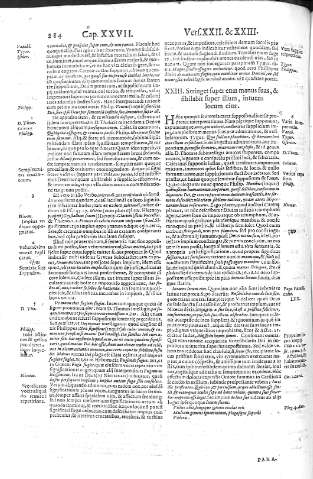 284