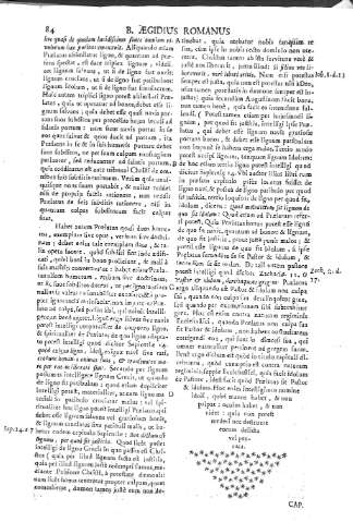 84