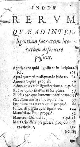 Index rerum...