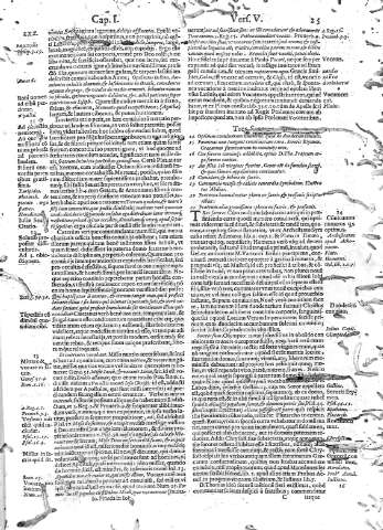 25