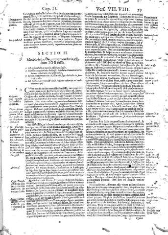 77