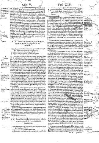 161