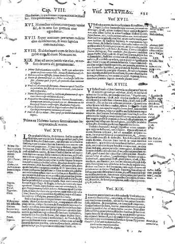 231