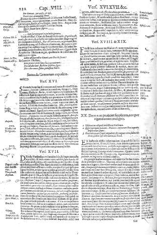 232