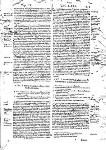 253