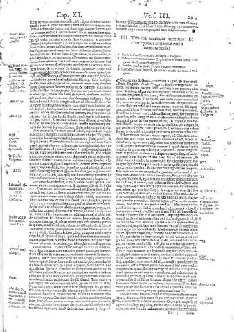 293