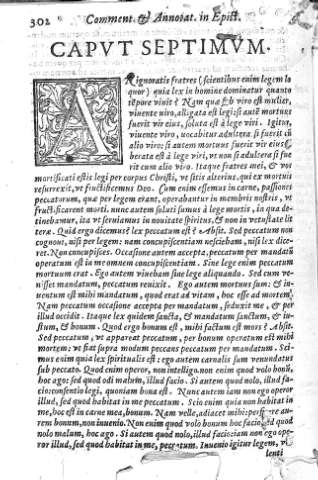 [Caput Septimum] 302