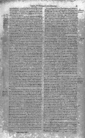 61