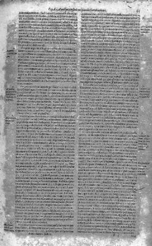 65