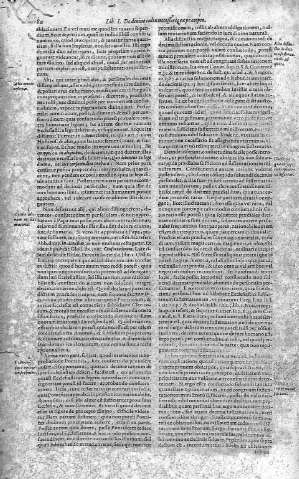 80