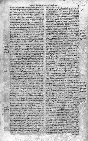 81
