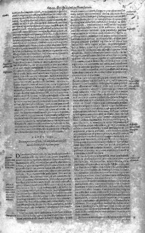 83