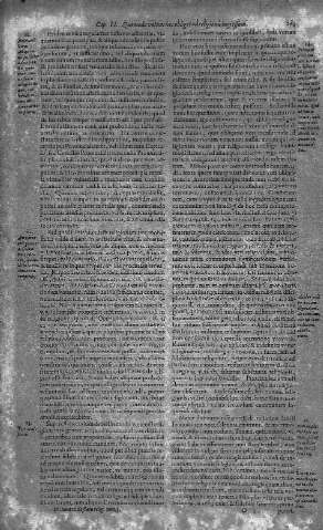 161