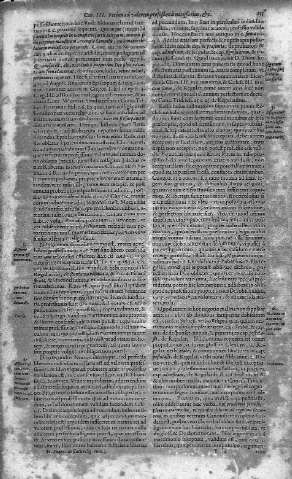 255