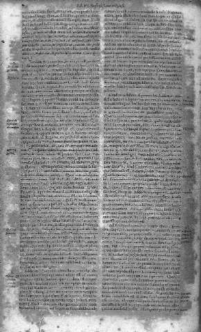 256