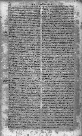 262