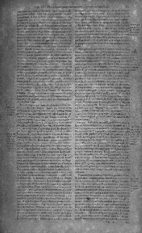 355