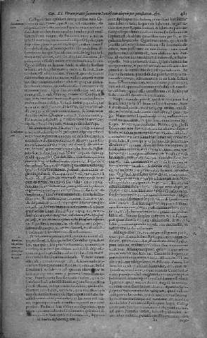 481