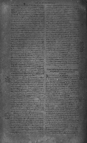 556
