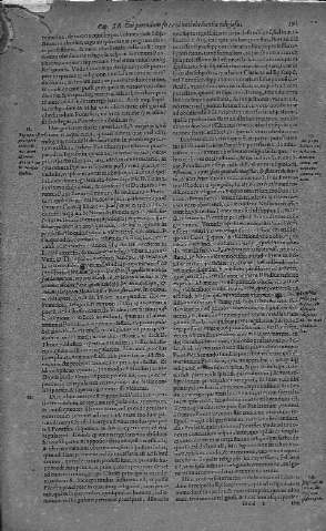 591