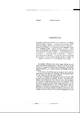 CXXXVIII [Capítulo XI]