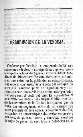 Descripcion de la Vendeja