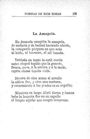 La Amapola