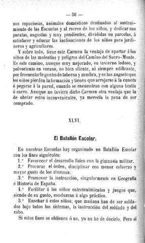 XLVI. El Batallón Escolar