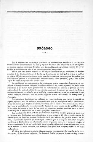 Prólogo