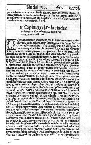 XXXVI