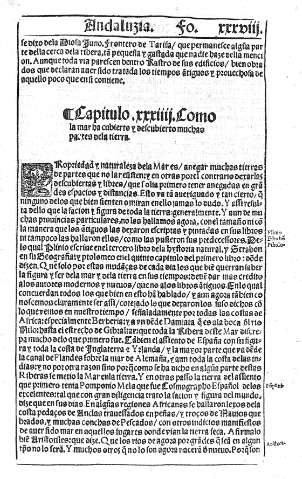 XXXVIII