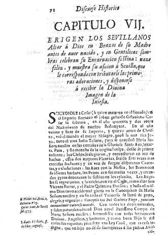 Capitulo VII.