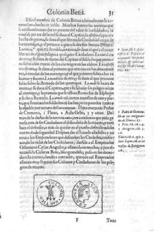 31