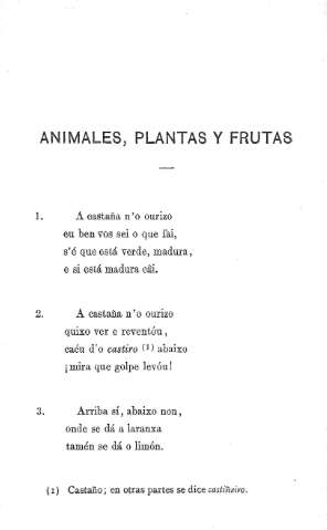 Animales, plantas y frutas