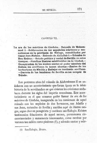 Capítulo VII.