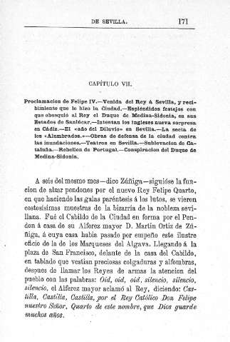 Capítulo VII.