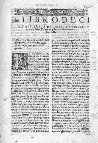 Libro Decimo